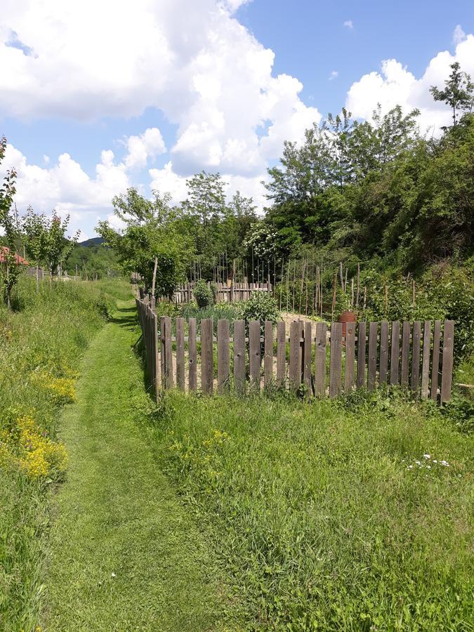 Pensiunea Aureliano Răchita Exterior foto